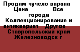 Продам чучело варана › Цена ­ 15 000 - Все города Коллекционирование и антиквариат » Другое   . Ставропольский край,Железноводск г.